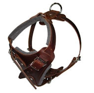 Hands Free Control Dog Harness for Doberman