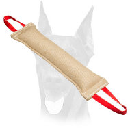 Huge Doberman bite tug of jute