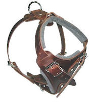 SIMILAR to Gappay Leather Defense Harness for Doberman