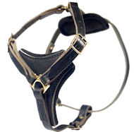 Latigo Adjustable Harness-Doberman Leather Harness