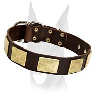 Handcrafted Leather Dog Collar With Vintage Massive Plates