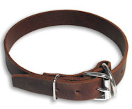 Leather Collar 1 inch wide for Doberman