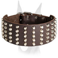 Extra wide 3 inch studded leather collar for Doberman