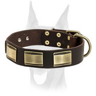 Originally designed leather decorated collar for Doberman