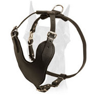 Superior training leather harness for Doberman