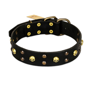 FDT Artisan 'Heavy Metal' Leather Doberman Collar with Skulls and Studs 1 1/2 inch (40 mm)
