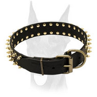 Spiked leather Doberman collar