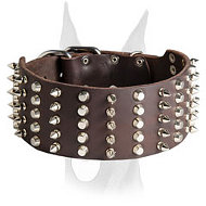 Extra wide 3 inch spiked and studded leather collar for Doberman