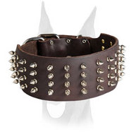 Handmade leather collar with silver-like spikes for Doberman