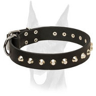 Wide stylish Doberman collar with nickel cones