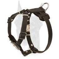 Super soft leather Doberman puppy harness studded with cones