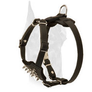 Spiked Doberman puppy harness with soft padding