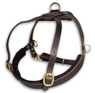 Selling Leather Roading Dog Harness for Doberman
