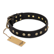 'Black Elegance' FDT Artisan Doberman Leather Dog Collar with Round Studs