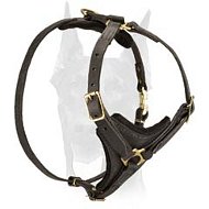 Perfect fit stylish leather Doberman harness Perfect fit stylish leather Doberman harness