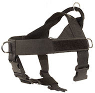 Nylon Companion Safety Harness for Doberman