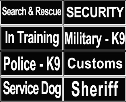 SAR Harness for  Doberman-Search&Rescue NYLON DOG HARNESS