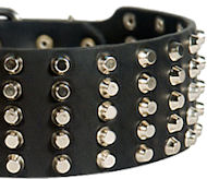 Pyramid Studs on Leather Dog Collar for Doberman