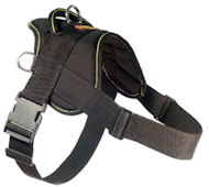 Looking for EzyDog Harness for Doberman