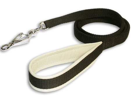 dog leash with cushioned handle