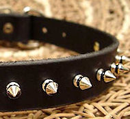 Small Spiked Dog Collar for Doberman puppy
