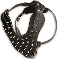 Have Spike Dog Harness Manufacturers