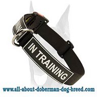 Easy adjustable nylon collar with quick release buckle for your Doberman Easy adjustable nylon collar with quick release buckle for your Doberman