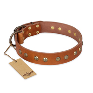 'Spring Flavor' FDT Artisan Doberman Tan Leather Dog Collar with Old Bronze-Like Plated Engraved Studs 1 1/2 inch (40 mm) wide