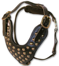 Two-Ply Latigo Dog Harness with Studs for Doberman