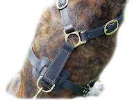 Ultimate Tracking Harness for Doberman
