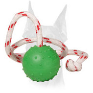 Dotted surface rubber Doberman ball for water training and playing