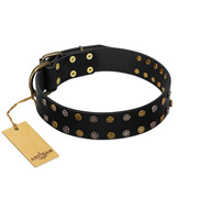 "Star Way" FDT Artisan Black Leather Doberman Collar with Bronze-like and Silver-like Star Studs