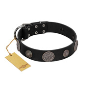"Ad Infinitum" Durable FDT Artisan Black Leather Doberman Collar with Chrome Plated Brooches