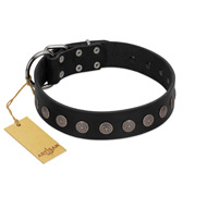 "Silent Star" Handmade FDT Artisan Designer Black Leather Doberman Collar with Engraved Plates