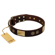 "Bow-Wow Effect" FDT Artisan Brown Leather Doberman Collar with Plates and Ornate Studs