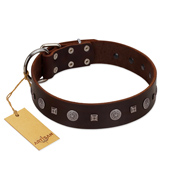 "Pure Sensation" Exclusive FDT Artisan Brown Leather Doberman Collar with Fancy Brooches and Studs