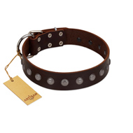 "Spring Flower" Stylish FDT Artisan Brown Leather Doberman Collar for Comfy Walks