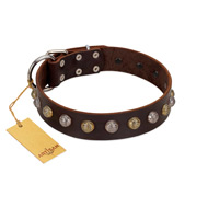 "Gape Buster" FDT Artisan Brown Leather Doberman Collar with One Row of Studs
