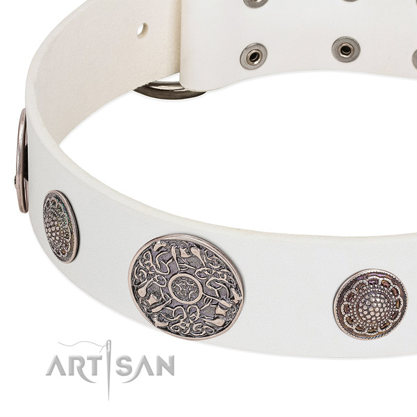 Strong studs on full grain natural leather dog collar
