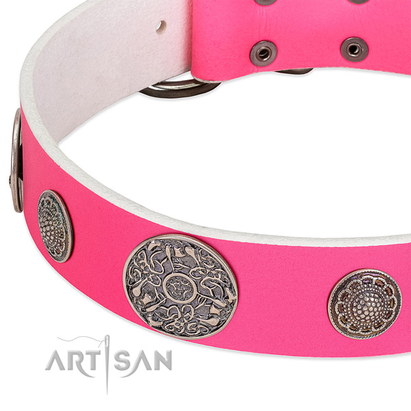Strong fittings on genuine leather dog collar