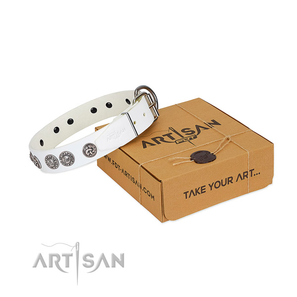 Trendy leather collar for your pet stylish walking