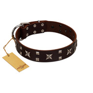 "Bigwig Woof" FDT Artisan Brown Leather Doberman Collar with Chrome Plated Stars and Square Studs