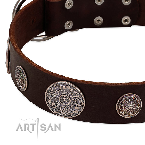 Rust resistant buckle on full grain genuine leather dog collar