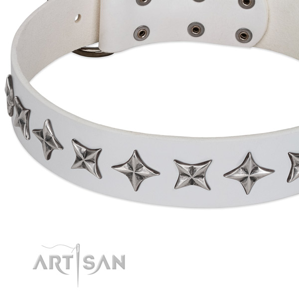Stylish walking adorned dog collar of fine quality natural leather