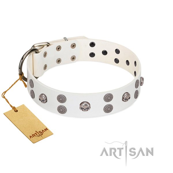 Handy use adorned full grain genuine leather collar for your doggie