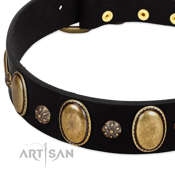 Stylish walking gentle to touch full grain leather dog collar