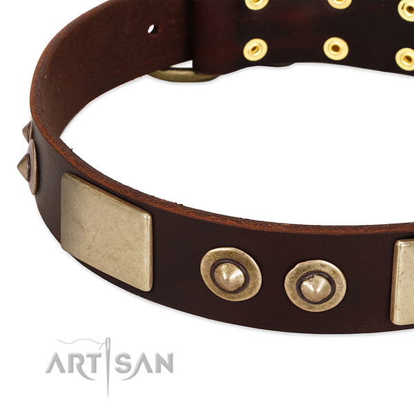 Corrosion proof decorations on genuine leather dog collar for your pet