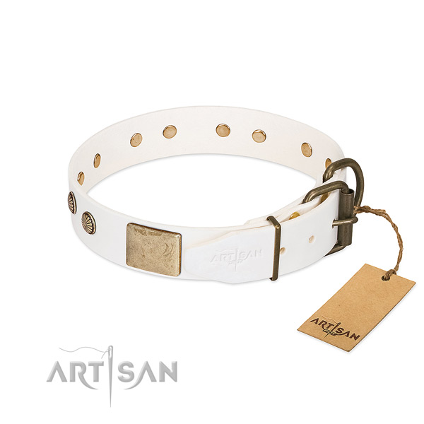 Corrosion proof studs on comfortable wearing dog collar