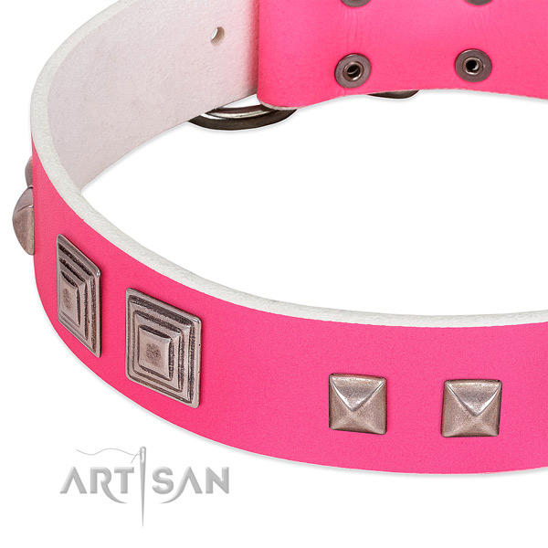 Natural leather dog collar with strong traditional buckle