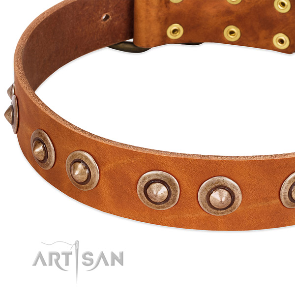 Durable buckle on full grain leather dog collar for your pet
